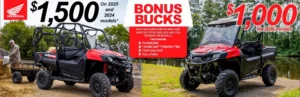 Read more about the article Bonus Bucks