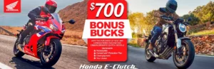 Read more about the article Bonus Bucks
